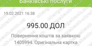 Поверенення 19 лютого 2021 – 995 доларів з i-want.broker