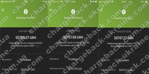Поверенення 30 березня 2021 – 167 269 гривень з TRADERSHOME